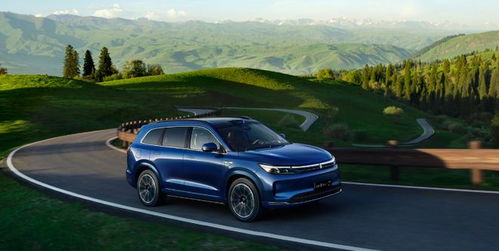 全资控股赛力斯汽车 赛力斯集团的战略深意与未来图景