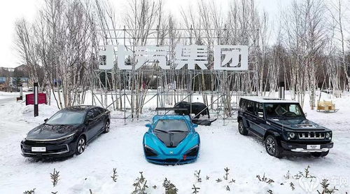 行达天下·新挑战 北汽集团携全系新能源汽车产品征服长白山冰雪之旅